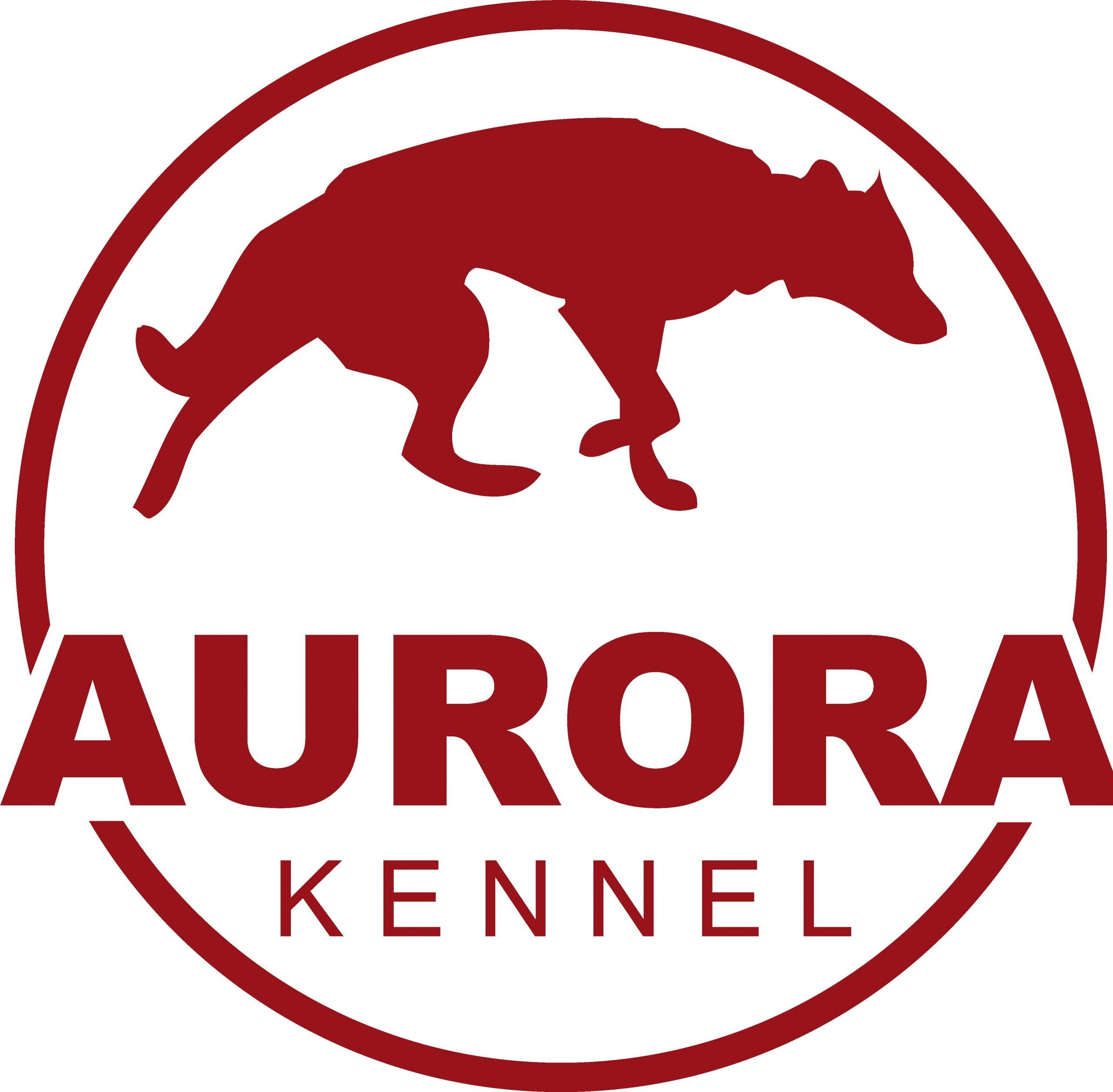 Aurora Schlittenhundeabenteuer